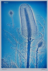 Image description is not available for 2024.014